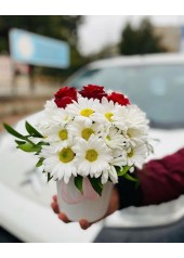 VAZODA PAPATYA GÜL