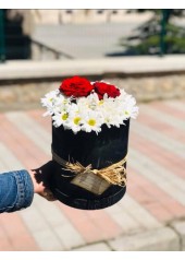KUTUDA PAPATYA GÜL